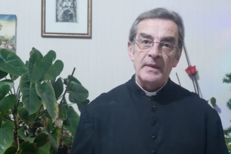 Avoir un père, c’est facultatif ? – Curé Enragé