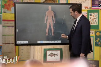 Christophe Castaner l’a dit : tirer dans la tête avec le LBD, ce n’est pas bien