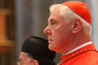 Le cardinal Müller dénonce l’“Instrumentum Laboris” du synode sur l’Amazonie