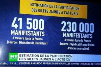 Dominique Rizet affirme que les chiffres de mobilisation des GiletsJaunes communiqués par le Ministère de l’Intérieur sont faux