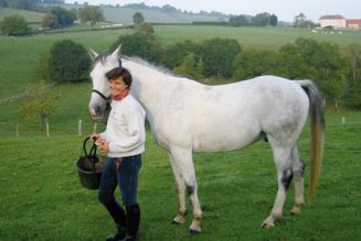 Pavés parisiens et retour à la terre : entretien avec Stéphanie Bignon