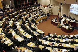 D’autres évêques se mobilisent contre les transgressions de la loi de bioéthique
