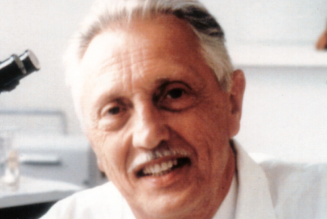 Vendredi 29 mars : Etape décisive pour Vincent Lambert