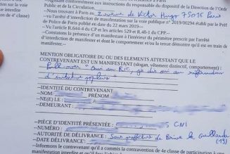 De La Manif Pour Tous aux Gilets jaunes: ils nous refont le coup du pull interdit