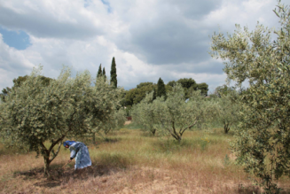 Leur souffle  de Cécile Besnault & Ivan Marchaki