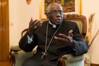 Face aux diffamations, le cardinal Sarah réagit