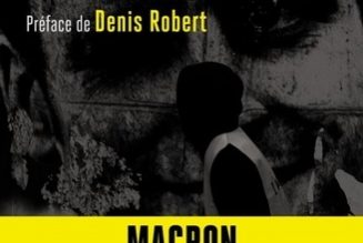Le point commun entre Xavier Niel, Bernard Arnault et Arnaud Lagardère : Emmanuel Macron