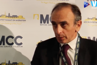 Éric Zemmour : « Nous devrions nous allier au groupe de Visegrád pour protéger notre identité »
