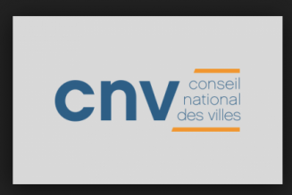 L’islam dans les « quartiers » a son eunuque : le Conseil national des villes