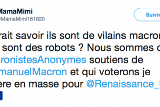 Si on supprime l’anonymat sur les réseaux sociaux, ça va faire mal à LREM