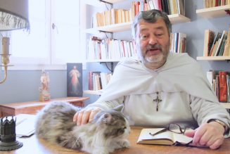 Dimanche 21 avril, Pâques : La Résurrection de Jésus, cause de notre résurrection