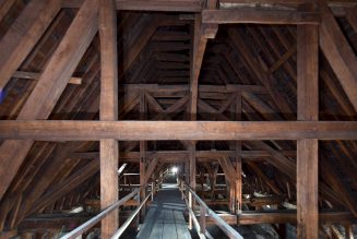 Les Coopératives Forestières offrent leurs chênes pour Notre-Dame de Paris