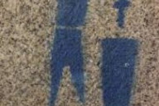 Le vote des catholiques français aux européennes : l’apostasie immanente !