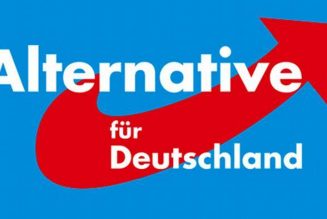 Allemagne : forte percée de l’AFD dans deux scrutins régionaux