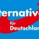 Allemagne : forte percée de l’AFD dans deux scrutins régionaux