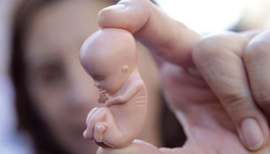 Le Sénat rejette finalement l’amendement aggravant le délai légal pour avorter Avortement-maroc-1050x600