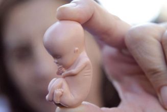 Avorter oui, donner naissance non : deux tiers des maternités ont fermé