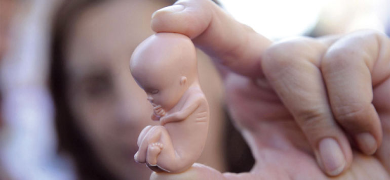 Le Sénat rejette finalement l’amendement aggravant le délai légal pour avorter