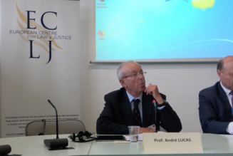 La dislocation du droit de la filiation par l’extension de la PMA