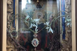 Des lys séchés fleurissent sur une icône