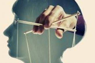 Greta Thunberg, une icône manipulée ?