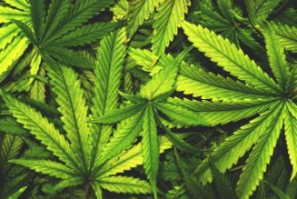 Vers la légalisation de la drogue