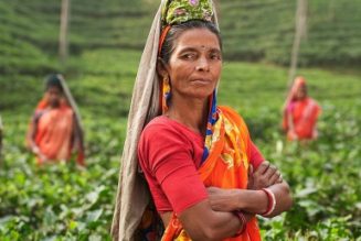 En Inde, des employées pauvres subissent des ablations d’utérus forcées