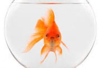 Les mécanismes de l’asservissement cognitif par le numérique