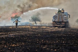 La nouvelle arme de Daech en Syrie : brûler les récoltes