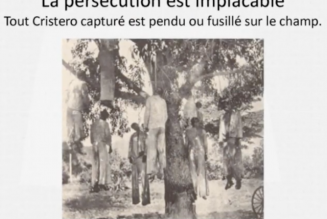 L’histoire des Cristeros ou « la gigantesque Vendée mexicaine »