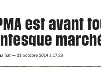 «La PMA est avant tout un gigantesque marché»