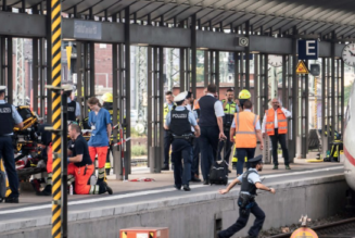 Francfort : un Érythréen pousse une femme et son enfant de 8 ans sous un train