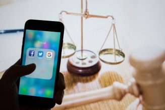 Haine de macronistes sur internet : seront-ils punis par la loi Avia ?