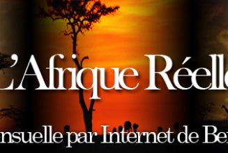 Algérie : « Ils ne sont grands que parce que nous sommes à genoux »