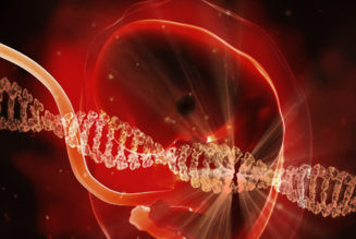 Entrée dans l’ère de l’industrialisation de l’être humain