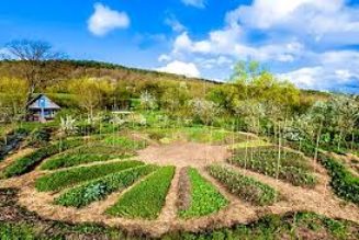 Le GIEC, réactionnaire ?