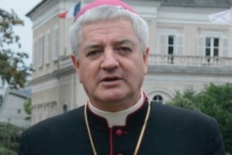 Mgr Marc Aillet sur le G7 de Biarritz : « Je peux comprendre la colère des altermondialistes »