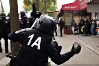 L’IGPN : la machine à mentir du ministère de l’Intérieur