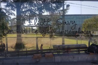 L’influence de la pensée “décoloniale” à l’Université Lyon 2