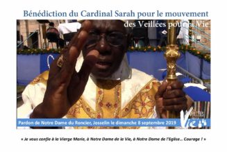 Le cardinal Sarah bénit les veillées pour la vie