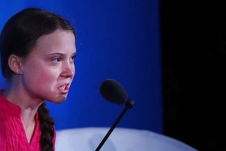 Les discours de Greta Thunberg sont riches en reproches, pauvres en solutions mais teintés d’écologisme radical, proches des discours d’extrême-gauche