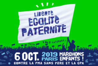 Marchons Enfants : contre la PMA sans père et la GPA (Direct)