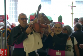 Amazonie : une dictature de missionnaires adeptes de la théologie de la libération empêche le développement de la région