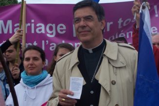 Mgr Michel Aupetit : Non, la loi n’est pas pliée d’avance