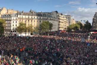 Elles détestent les OGM, mais elles ne cessent de trafiquer leurs corps