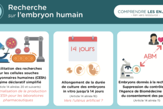 Infographie sur les graves enjeux du projet de loi sur la bioéthique