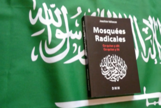 Salafistes “quiétistes/piétistes” sympas ?