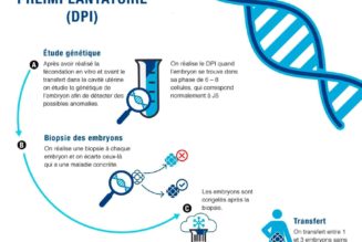 L’Assemblée abroge le diagnostic pré-implantatoire