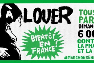 Tranquillement, les députés LREM votent la reconnaissance de la GPA