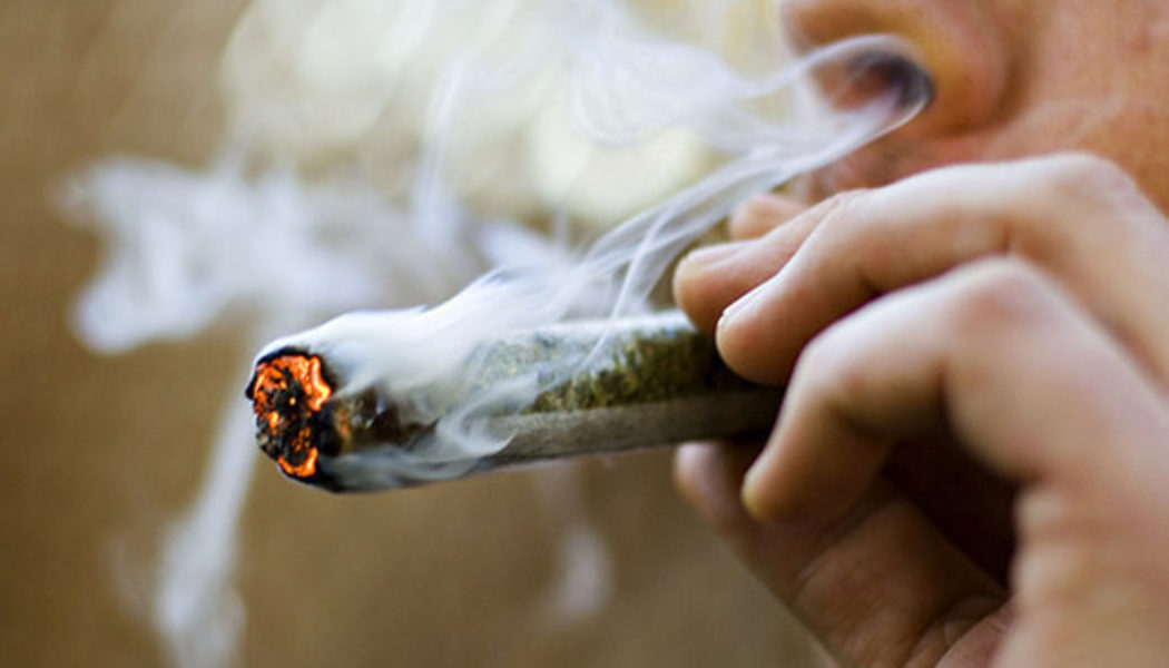 L’Assemblée nationale légalise le cannabis